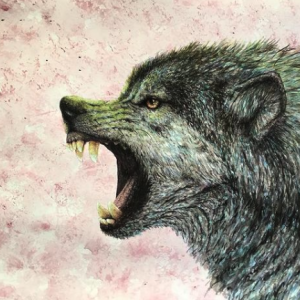Lobo sin protección