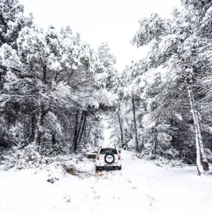 White 4x4
