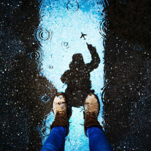 Fly water