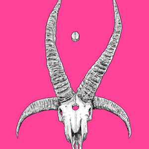 Jacob skull
